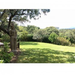 buda pie jardin
