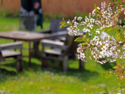 Los mejores muebles para tu jardín